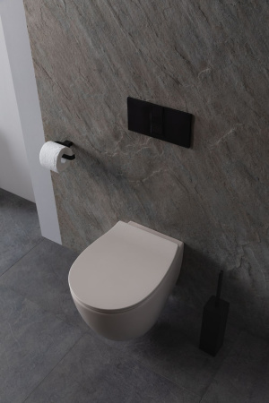 Чаша унитаза подвесная Allen Brau Fantasy 4.11004.IV цвет бежевый без сиденья безободковая каскадный смыв