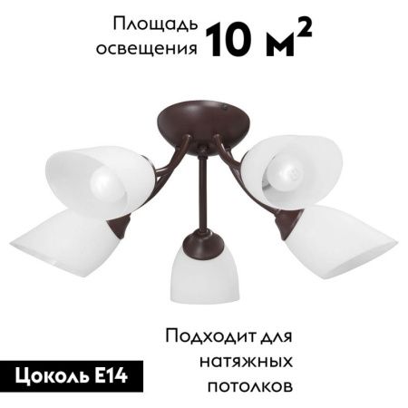 Люстра потолочная Vitaluce V3404 V3404/5PL