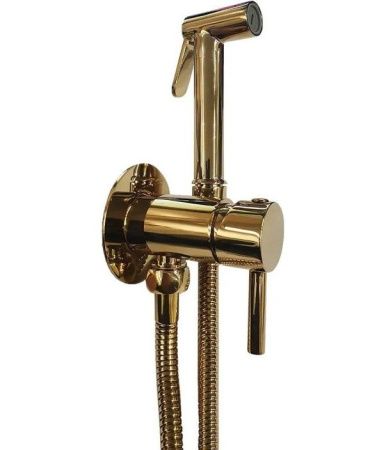 Гигиенический душ со смесителем Paffoni Tweet Round ZDUP110HG золото