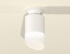 Светильник накладной Ambrella Light Techno (Тецхно) XS6301105