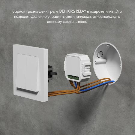 Двухканальное Wi-Fi реле-диммер Denkirs Relay (Релаы) RL1004-DM/1