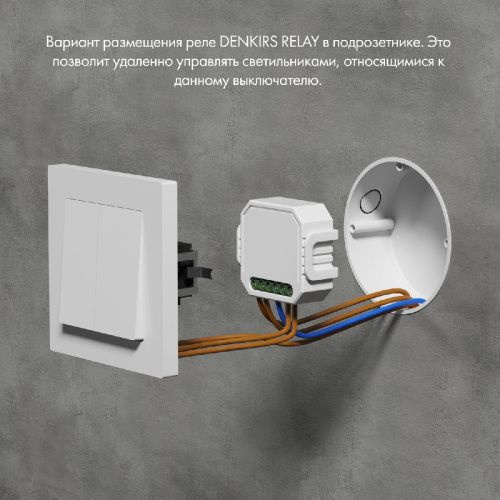 Двухканальное Wi-Fi реле-диммер Denkirs Relay (Релаы) RL1004-DM/1 - фото 4