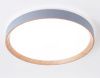 Светильник потолочный Ambrella Light Design (Десигн) FZ1322