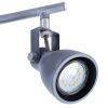 Спот Arte Lamp Gotto (Готто) A9189PL-4GY