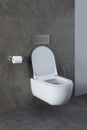 Чаша унитаза подвесная Allen Brau Priority 4.31001.20 цвет белый без сиденья безободковая каскадный смыв