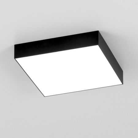 Светильник накладной Citilux Тао CL712X242N