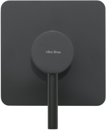 Смеситель для душа Allen Brau Priority 5.31012-31 встраиваемый в стену черный без термостата - фото 3