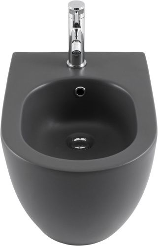 Биде Allen Brau Reality 4.32008.AN подвесное - фото 2