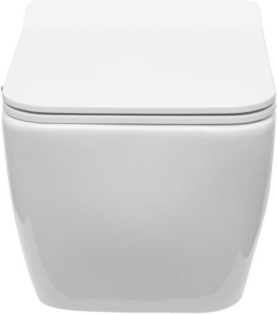 Чаша унитаза подвесная Allen Brau Liberty 4.33009.20 цвет белый без сиденья безободковая каскадный смыв