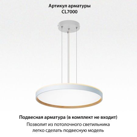 Светильник накладной Citilux Etalon (Еталон) CL750500R