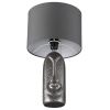 Настольная лампа Lumion Moderni (Модерни) 8146/1T