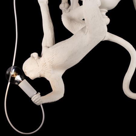 Светильник подвесной Loft It Monkey 10314 White