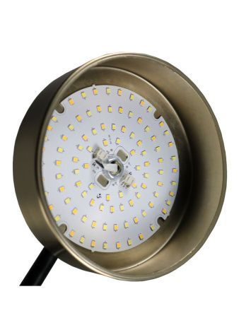 Люстра на штанге Zortes Lunar (Лунар) ZRS.01243.04