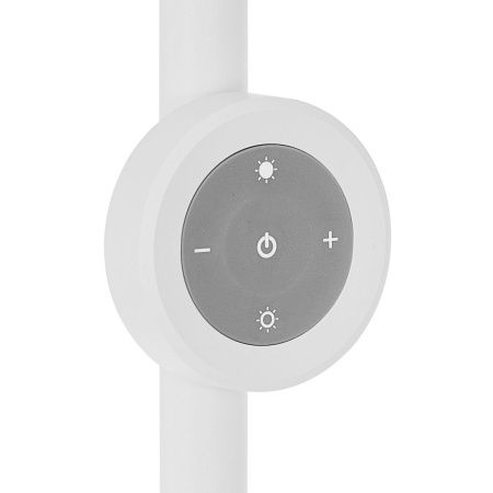 Торшер Citilux Loong (Лоонг) CL810030