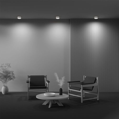 Светильник потолочный Maytoni Technical Zon C032CL-12W2.7K-RD-W - фото 5