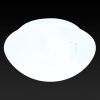 Настенно-потолочный светильник Toplight Alicia (Алициа) TL9440Y-02WH