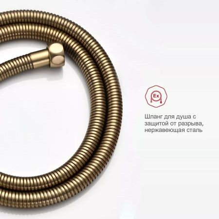 Гигиенический душ со смесителем Raglo R03 R03.52.03 золото