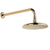 Верхний душ THG Ptale de cristal clair U6A-F01-286 20х20 золото