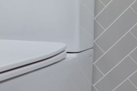 Чаша унитаза напольная Aquanet Tavr Tavr 2.0 C1 цвет белый без бачка с сиденьем микролифт безободковая каскадный смыв