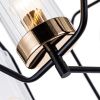 Люстра потолочная Arte Lamp Celaeno (Целаено) A7004PL-5BK