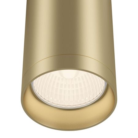 Светильник потолочный Maytoni Technical Focus C010CL-01MG