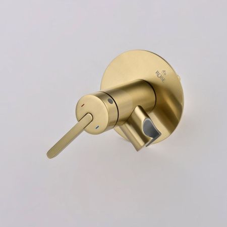 Гигиенический душ со смесителем Rose R235G золото