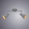 Спот Arte Lamp Jovi (Джови) A1677PL-2GY
