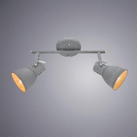 Спот Arte Lamp Jovi (Джови) A1677PL-2GY
