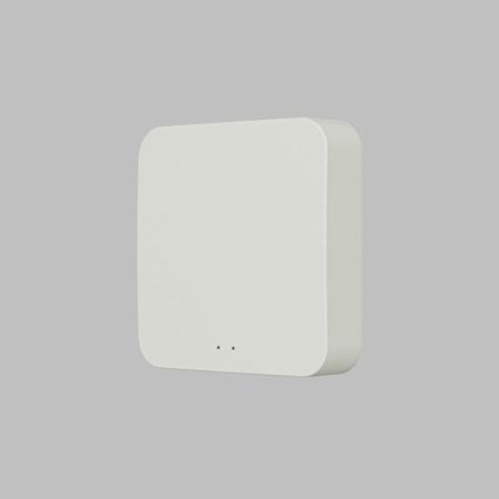 Конвертер WiFi-Zigbee/BLE для умного дома Denkirs Zigbee Control (Зигбее Цонтрол) DK7402-WF
