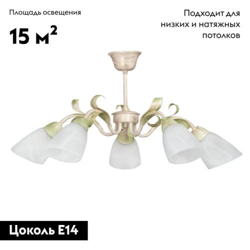 Люстра на штанге Vitaluce V1535 V1535/5PL - фото 2