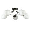 Люстра потолочная Arte Lamp Brighton (Бригхтон) A2706PL-5CK