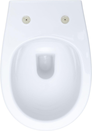 Чаша унитаза подвесная Allen Brau Fantasy 4.11004.20 цвет белый без сиденья безободковая каскадный смыв