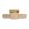 Светильник потолочный Freya Säffle (Саффле) FR5572CL-02G