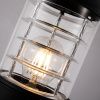 Уличный светильник Arte Lamp Coppia (Цоппиа) A5217FN-1BK