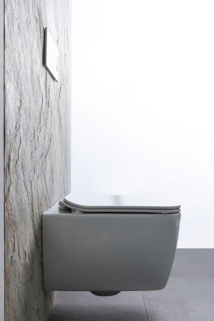 Чаша унитаза подвесная Allen Brau Liberty 4.33007.20 цвет белый без сиденья безободковая каскадный смыв