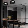 Светильник потолочный Loft It Egg 10197/350 BB