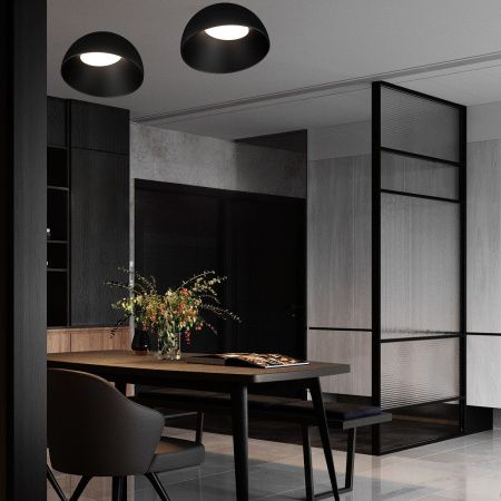 Светильник потолочный Loft It Egg 10197/350 BB