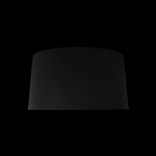 Светильник потолочный Loft It Duo 10360S Black - фото 4