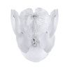 Светильник настенный Arte Lamp Kapri (Капри) A4078AP-2CC