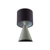 Настольная лампа Lumion Moderni (Модерни) 8132/1T