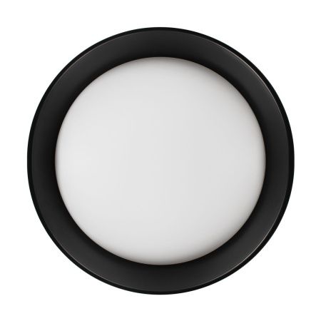 Светильник потолочный Loft It Coin 10202 BB