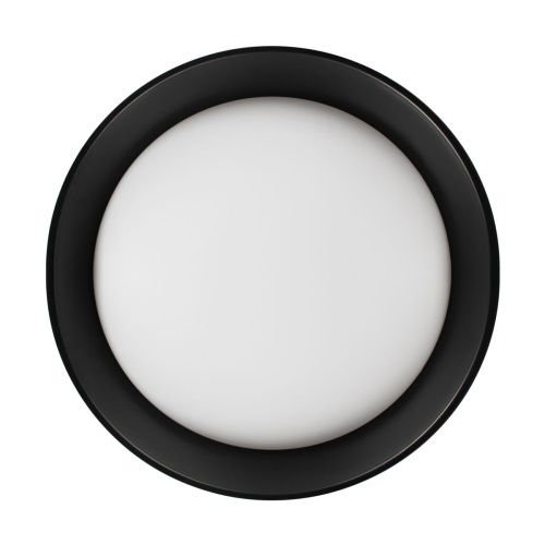 Светильник потолочный Loft It Coin 10202 BB - фото 3