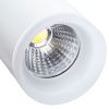 Трековый светодиодный светильник Arte Lamp HUBBLE (ХУББЛЕ) A6813PL-1WH