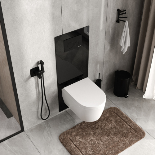 Инсталляция для унитаза WasserKRAFT Abens 20TLT.010.ME.BL.MB02 - фото 4