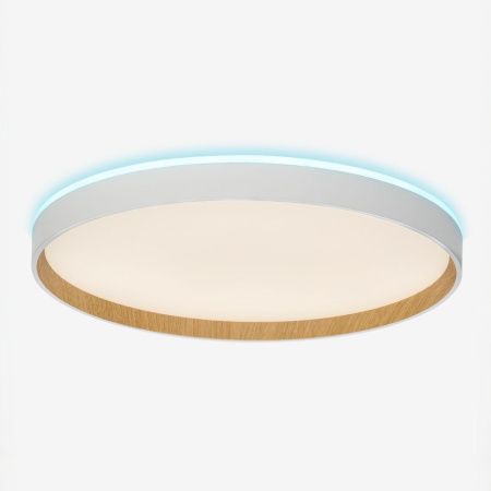 Светильник потолочный музыкальный Citilux Etalon (Еталон) CL750400R