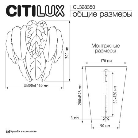 Светильник настенный Citilux Hasienda (Хасиенда) CL328350