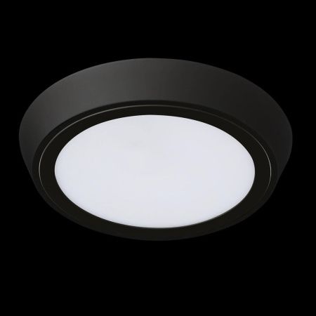 Уличный потолочный светильник Lightstar Urbano (Урбано) 216972
