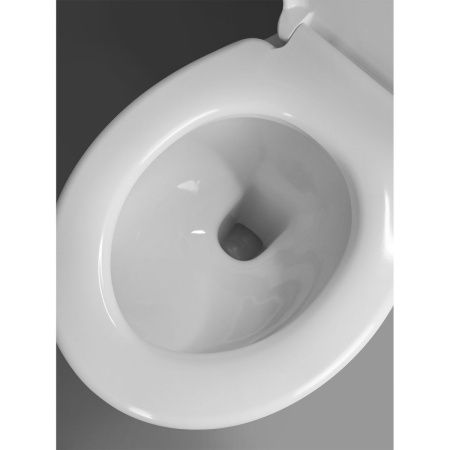 Чаша унитаза напольный Creo Сeramique TOULOR TL1002 цвет белый без сиденья и бачка
