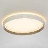 Светильник накладной Citilux Etalon (Еталон) CL750320R