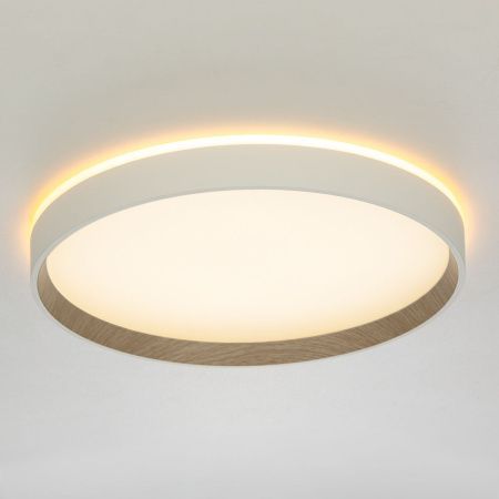 Светильник накладной Citilux Etalon (Еталон) CL750320R